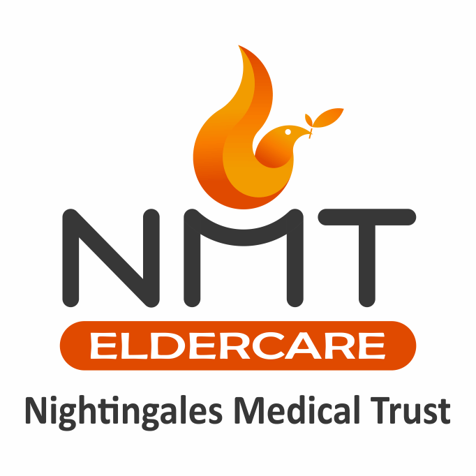 NMT Logo